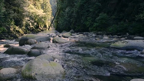 Stream running through rocks and boulders along hiking trail in Lynn Canyon Park Stock Footage 95765768