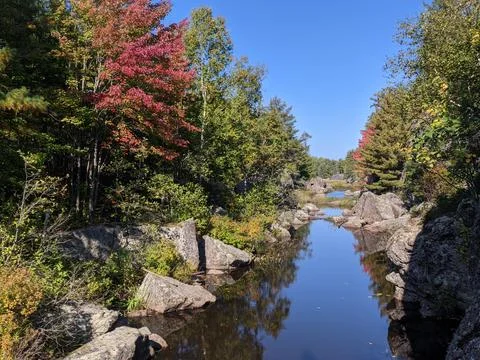 Stream running through rocky forest landscape Stock-Fotos