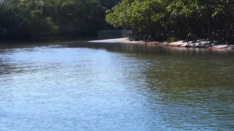 Stream running through trees on some sand Stock Footage 108519831