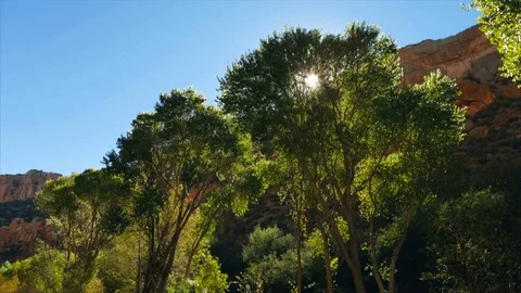 Stream running through a valley surrounded by trees. Stock Footage 88368934