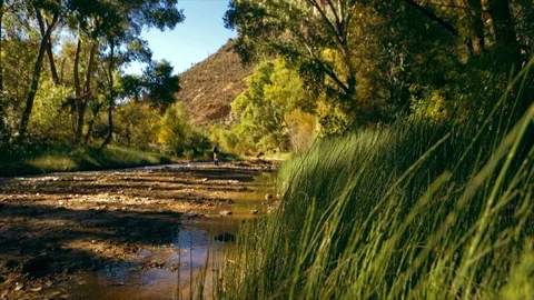 Stream running through a valley surrounded by trees. Stock Footage 88369018