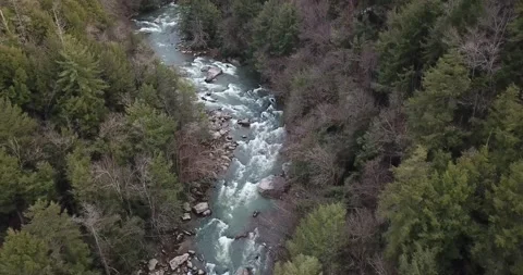 Stream Running Through Woods Drone Footage Stock Footage 133803603