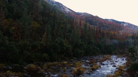 A stream running through Yosemite Stock Footage 113315624