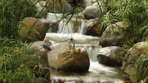 Stream of running tilt down Stock Footage 1020068