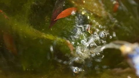 Stream of running water Video stock 98445512