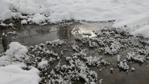 The stream runs across the snow-covered field. Stock Footage 148390217