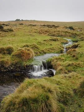 A stream runs down from Shelstone Tor high above it in the mist, Dartmoor UK Foto stock