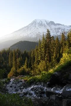 A stream runs through a forest in Mount Rainier National Park Stock Photos