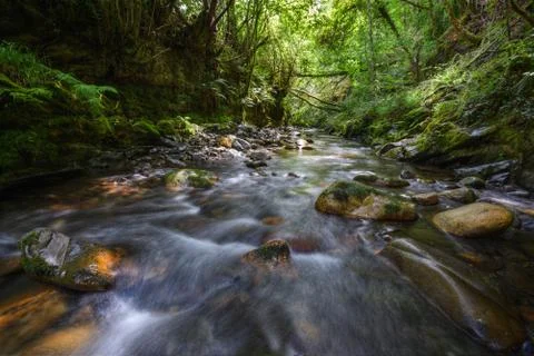 Stream rushes between quartzite pebbles Stock Photos