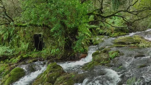 Stream Rushing On Mossy Rocks In Río Parga. Slow Motion Vidéo 256097163