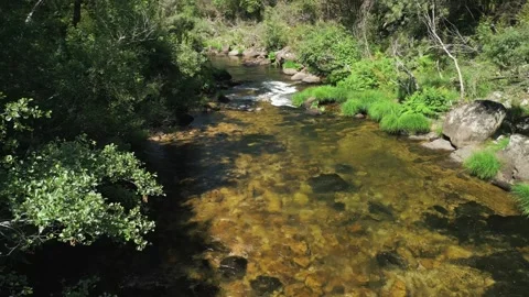 Stream Rushing On A Rocky River Of Río Lérez Stock Footage 280835442