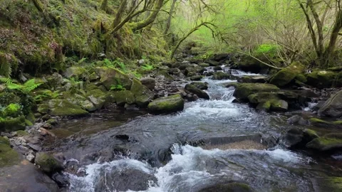 Stream Rushing Through Rock Boulders At San Paio River Vidéo 331726333