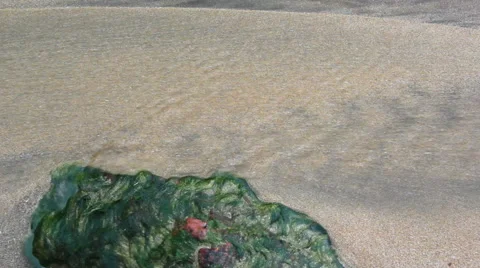 Stream in Sand Bed Stock Footage 54775199