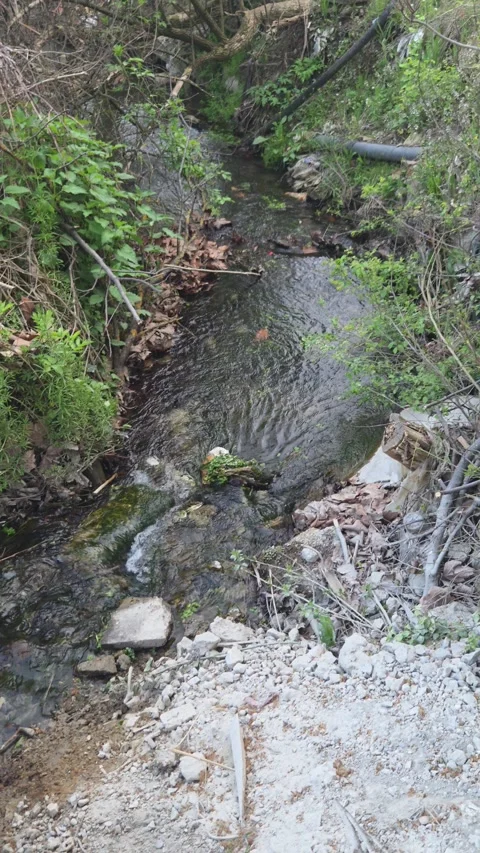 Stream In The Settlement Vídeo Stock 332615686