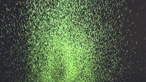 The stream of shimmering particles. slow motion Stock Footage 160058783