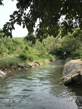 Stream side Foto stock