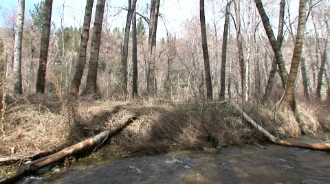 Stream from side-view. Fresh Run Off from the Ca Mountains. 動画素材 109700
