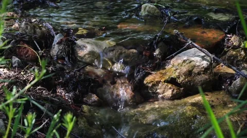 Stream, a small river among rocks and grass in the forest. Wildlife. Spring floo Stock-Footage 130573870
