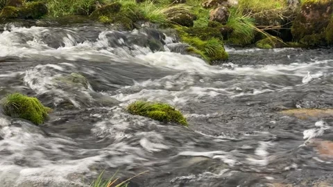 Stream, small waterfall, flowing water Stock Footage 277541526