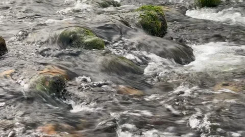 Stream, small waterfall, flowing water Stock Footage 277542332