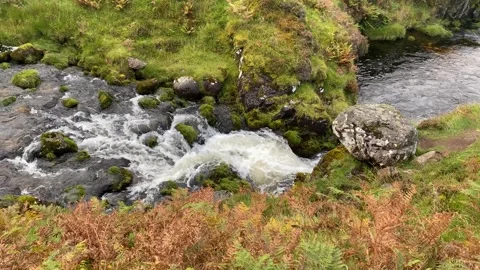 Stream, small waterfall, flowing water Stock Footage 277542371
