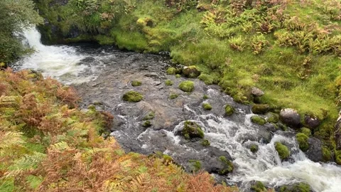 Stream, small waterfall, flowing water Stock Footage 277542452