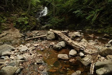 Stream with small waterfall on a trail in Cape Breton, Nova Scotia Stock Photos