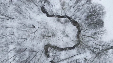 Stream in a snow covered park Stock Footage 147094945