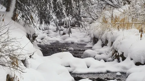 Stream Snow Snowing EDITED LTGrade Stock Footage 92748952