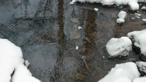A stream in the snow in winter. Stock Footage 172274628