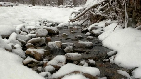 A stream in the snow in winter. Stock Footage 173677122