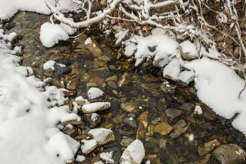 A stream in the snow in winter. Stock Photos