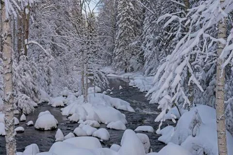 Stream in a snowy forest Stock-Fotos