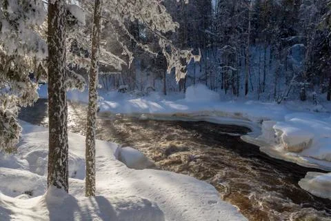 Stream in a snowy forest. Stock Photos