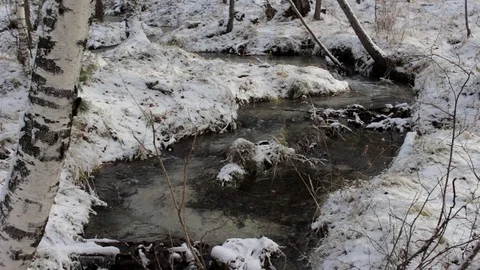 Stream in a snowy winter forest Video stock 69960008