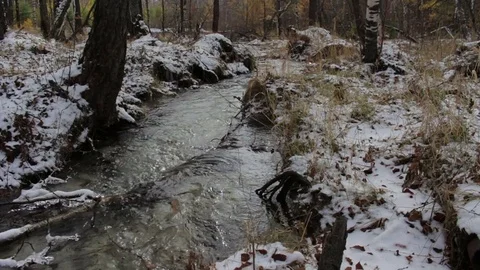 Stream in a snowy winter forest Stock Footage 69960287