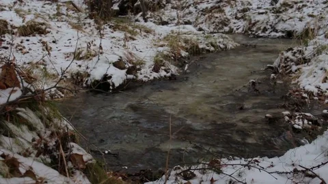 Stream in a snowy winter forest Stock Footage 69960400