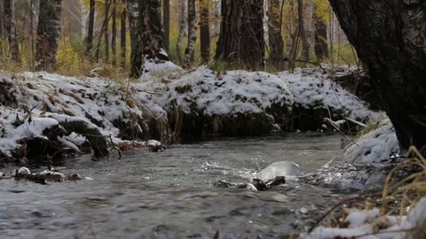 Stream in a snowy winter forest Stock Footage 69960468