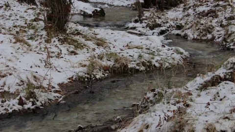 Stream in a snowy winter forest Stock Footage 69960546