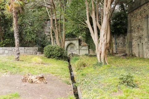 Stream from the source. Stock Photos