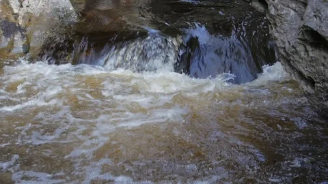 Stream Splashes through Gorge Cuilcagh Mountain Park Northern Ireland Stockbeeldmateriaal 99020217