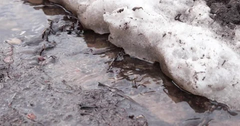 A stream in the spring along a country road path. Stock Footage 150397391
