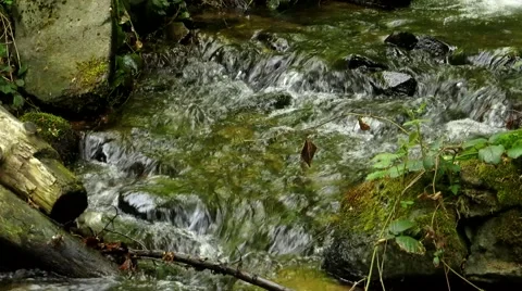 A stream in spring day Stock Footage 68860110