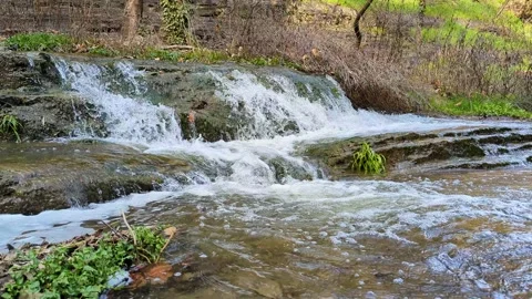Stream in the spring Stock Footage 236976003