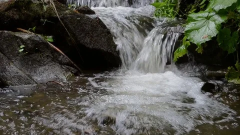 Stream in the spring mountain fores 9 Stock Footage 76986454