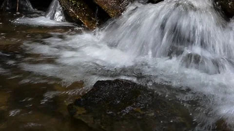 Stream in the spring mountain forest 4 Stock Footage 76986461