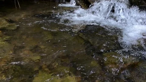Stream in the spring mountain forest 5 Stock Footage 76986443