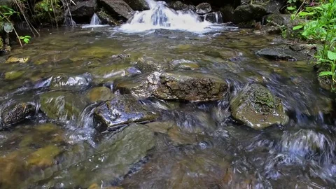 Stream in the spring mountain forest 6 Stock Footage 76986476