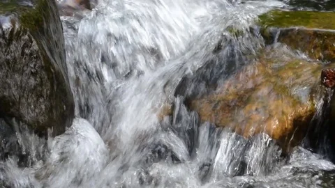 Stream in the spring mountain forest 7 Stock Footage 76986465