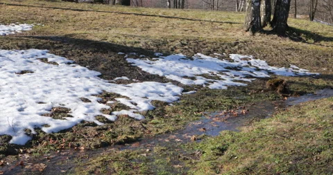 Stream in a spring park in Peterhof, Saint Petersburg, Russia Stock Footage 106287393
